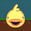 DuckWAK